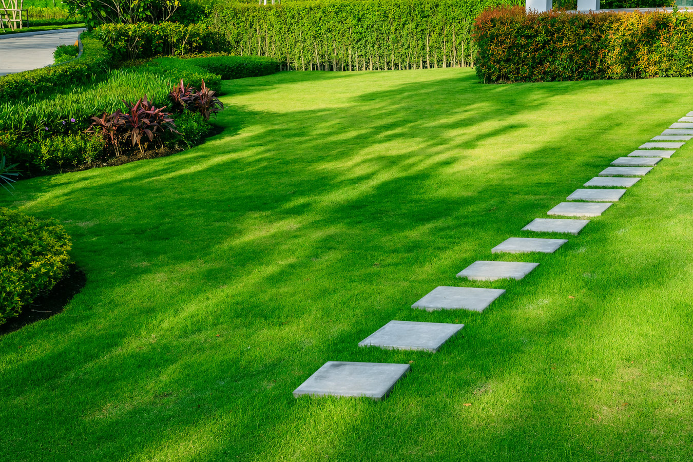 Turf maintenance services